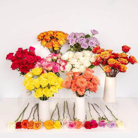 400 Roses For Mother's Day Close Up - Image
