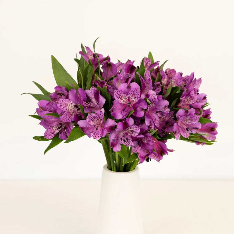 Aaron Vase - Image