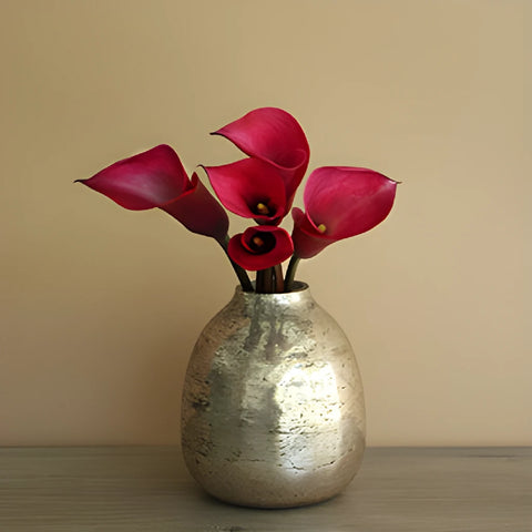 Pink Merlot Mini Calla Lily Flower