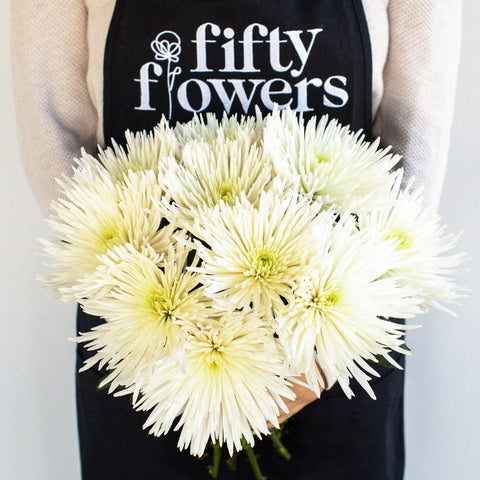 Anastasia Spider White Flowers - Image