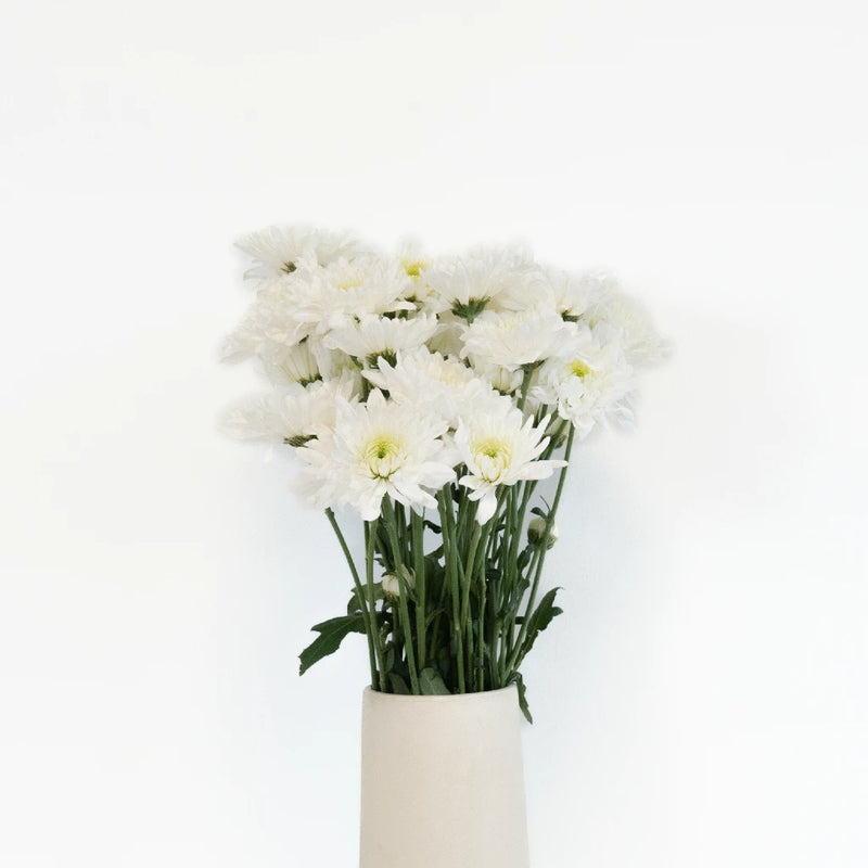 Apple Crisp Green Flower Vase - Image