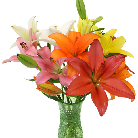 Save The Lily Growers DIY Flower Kit