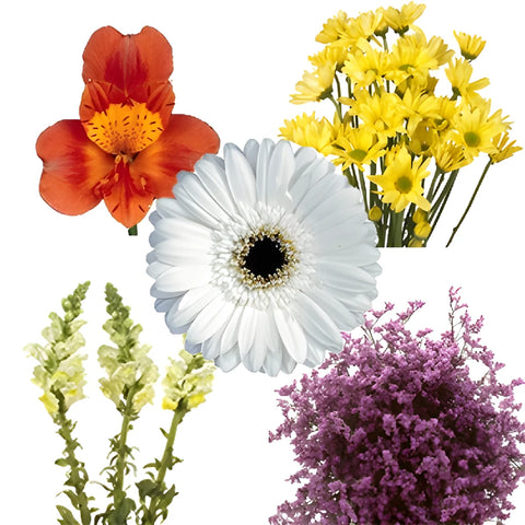 Assorted Fresh Cut Mothers Day DIY Flower Kit