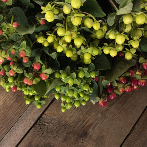 Assorted color hypericum berry bulk flowers