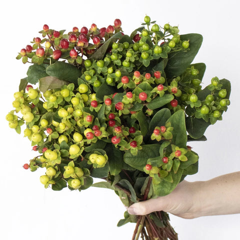 Assorted color hypericum berry wholesale wedding flowers
