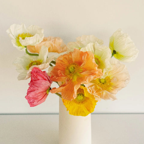 Assorted Poppy Pack Stem - Image