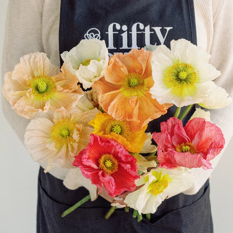 Assorted Poppy Pack Vase - Image