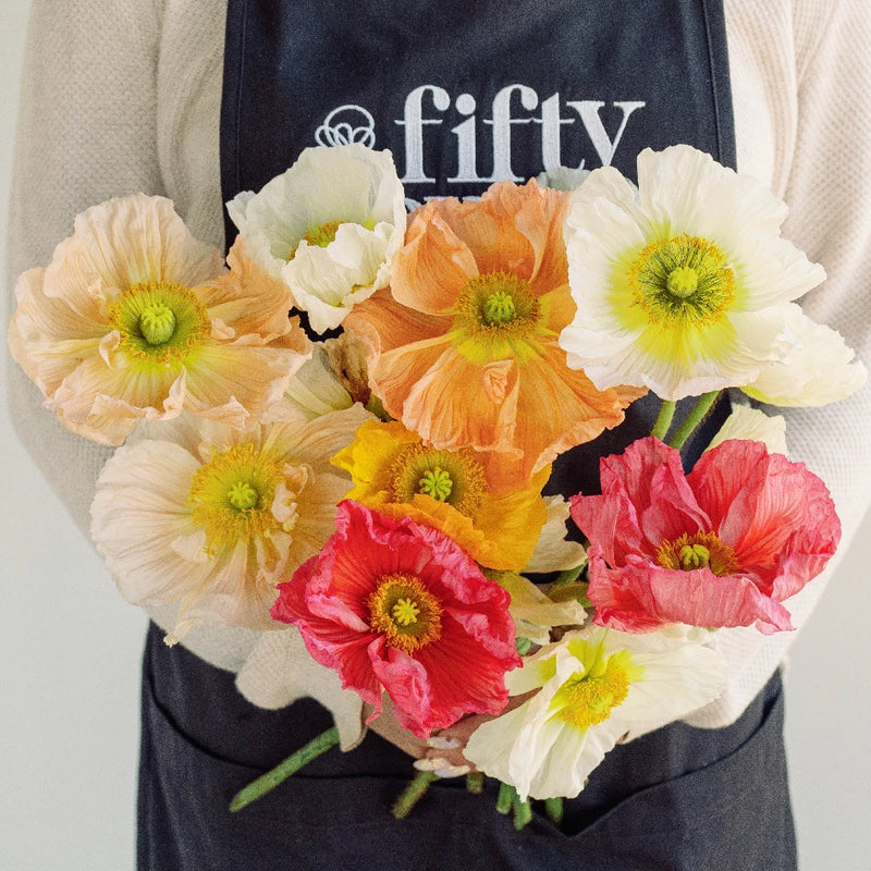 Assorted Poppy Pack Vase - Image
