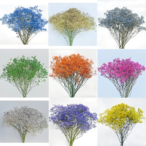 Choose Your Color Baby's Breath Flower