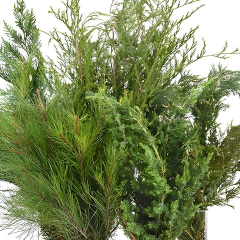 Winter Greenery Mix