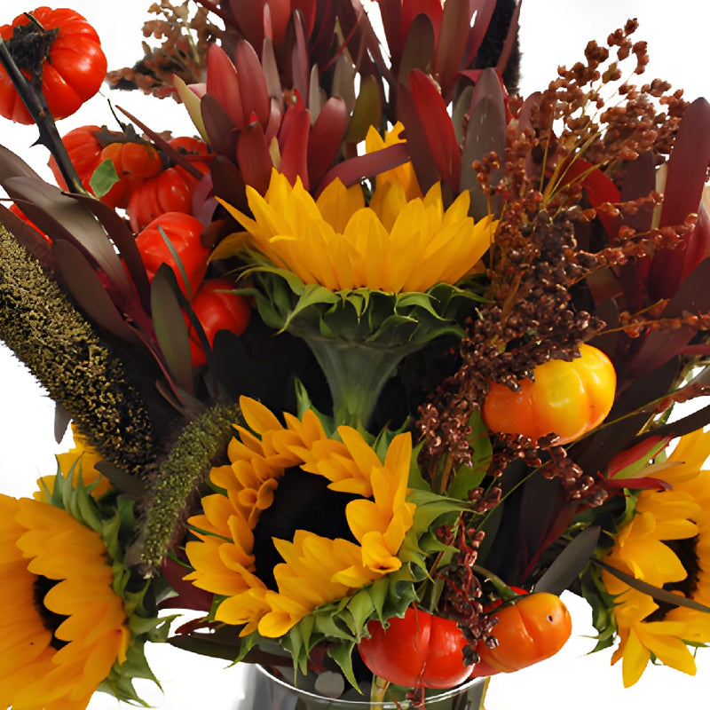 Autumn Sunflower DIY Flower Kit Up Close