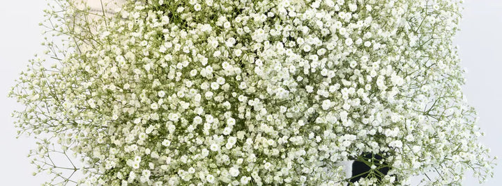 Hydrangea Hues Flower Centerpieces
