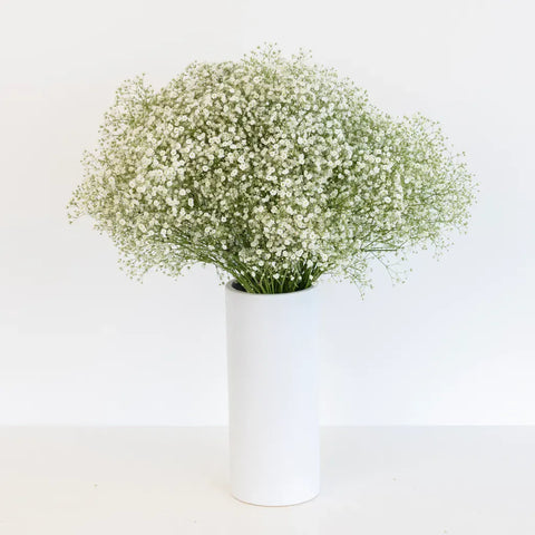 Baby's Breath Flower New Love Vase - Image