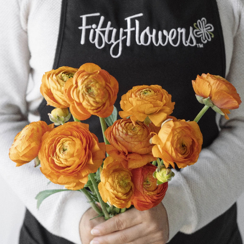 Bahama Mama Italian Cloony Ranunculus Apron - Image