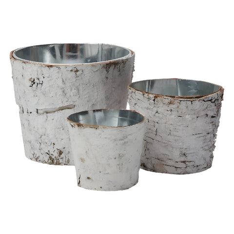 Birch Pot W/ Zinc Stem - Image