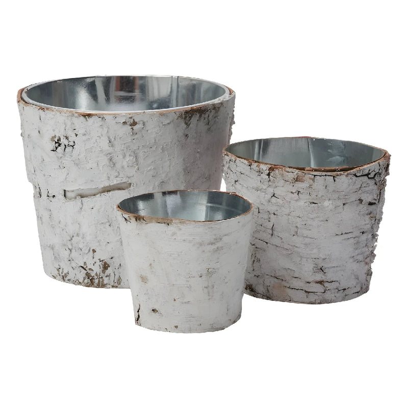 Birch Pot W/ Zinc Stem - Image
