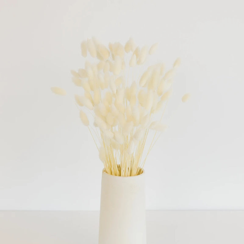 Bleached Dried Bunny Tails Vase - Image