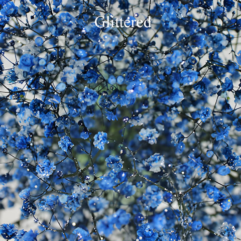 Blue Baby's Breath Flower
