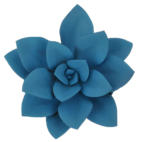 Blue Enhanced Succulents