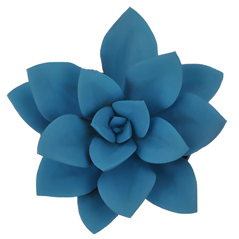 Blue Enhanced Succulents