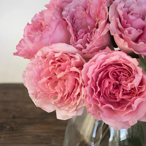 Blush Pink Garden Rose Bunch Close Up
