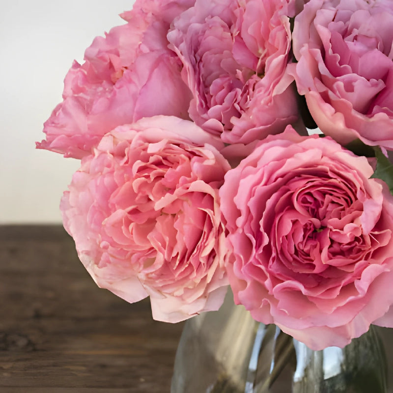 Blush Pink Garden Rose Bunch Close Up