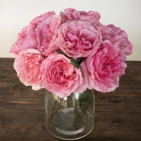 Blush Pink Garden Wholesale Roses In a vase