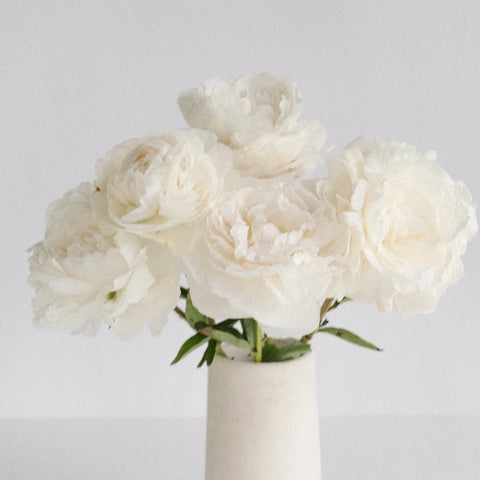 Boule De Neige Peony Vase - Image