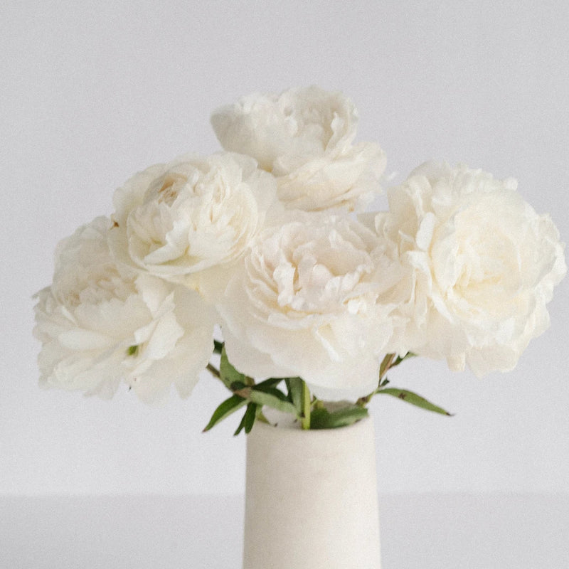 Boule De Neige Peony Vase - Image