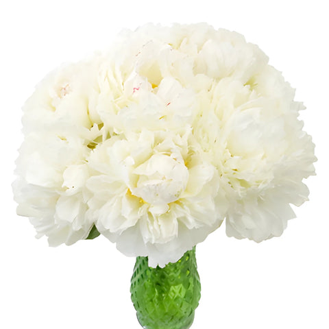 Bowl of Cream Peonies for April Delivery