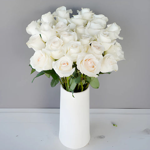 Blushing Bride Fresh Cut Rose