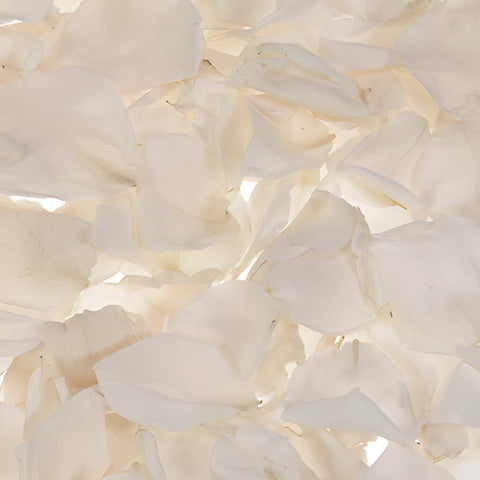 Ivory Dried Rose Petals