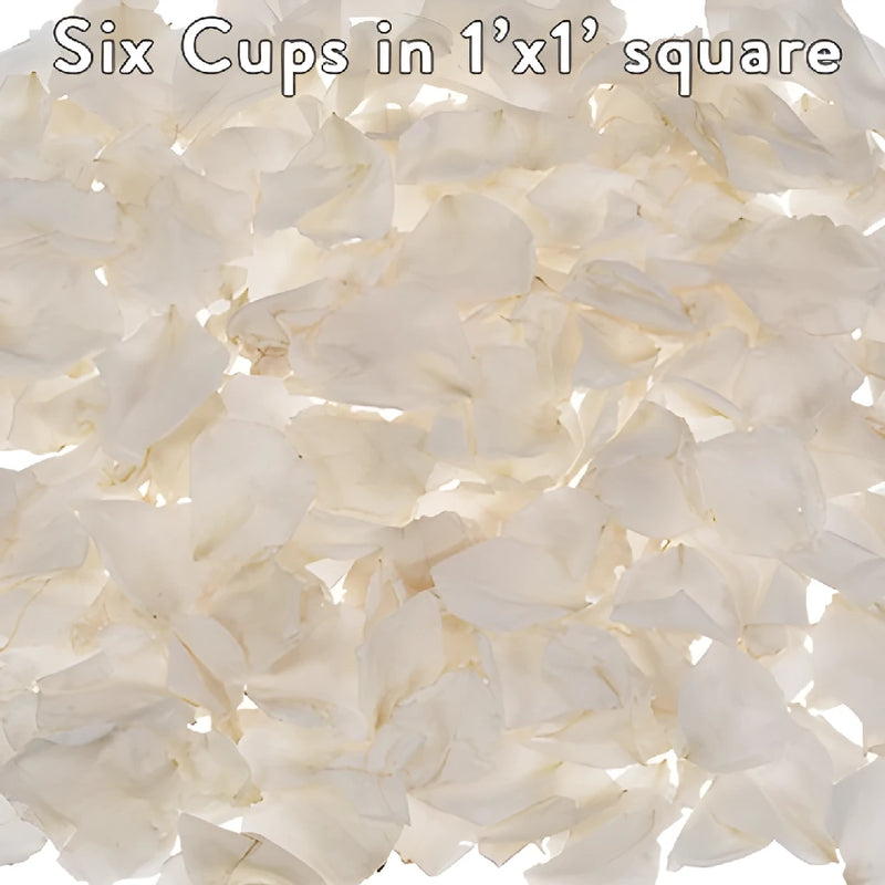 Ivory Dried Rose Petals Bulk