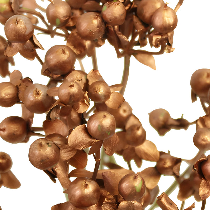 Silver and Gold Mixed Hypericum Berries