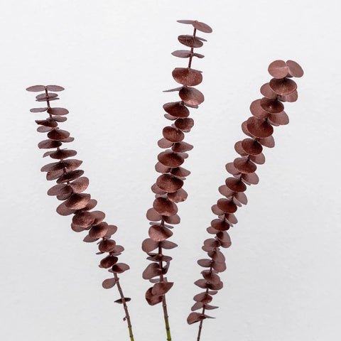 Bronzed Rose Gold Metallic Baby Eucalyptus Stem - Image