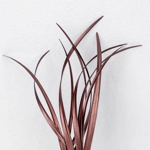 Bronzed Rose Gold Metallic Lily Grass Stem - Image