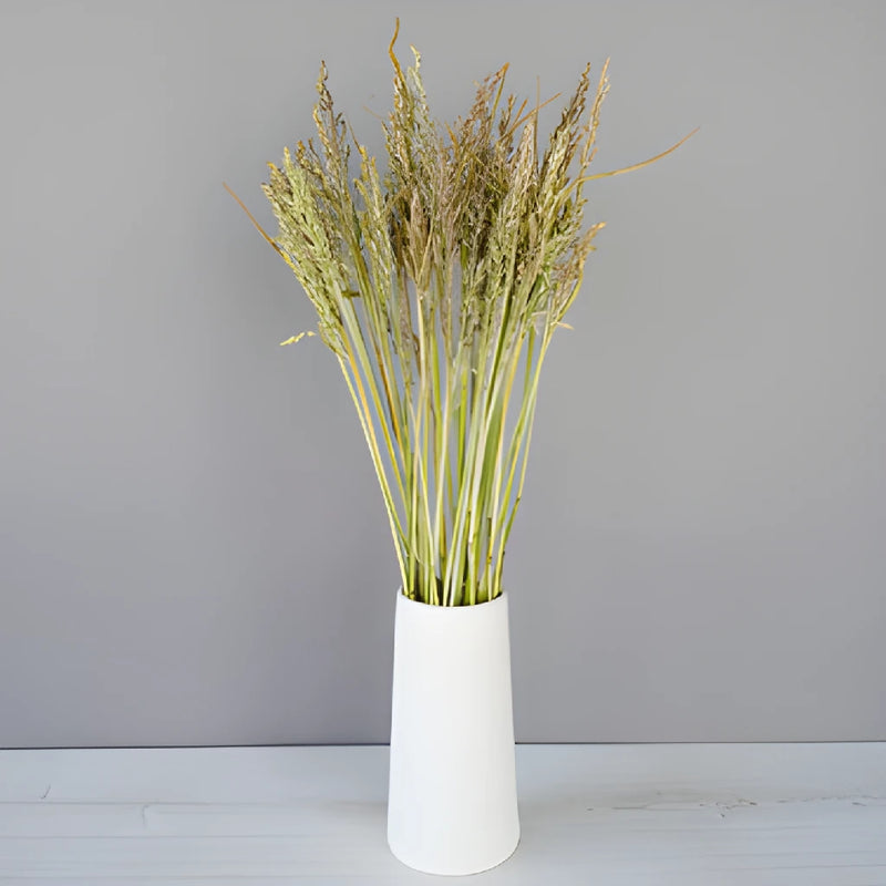 Bulk greenery broomcorn autumn grass filler flowers sold for delivery