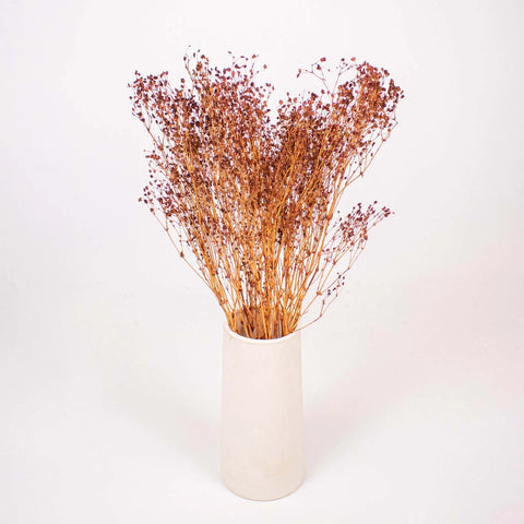 Brown Dried Babys Breath Flower Bunch in Vase