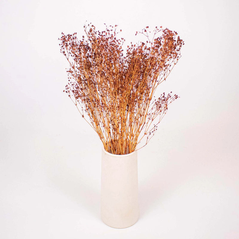 Brown Dried Babys Breath Flower Bunch in Vase