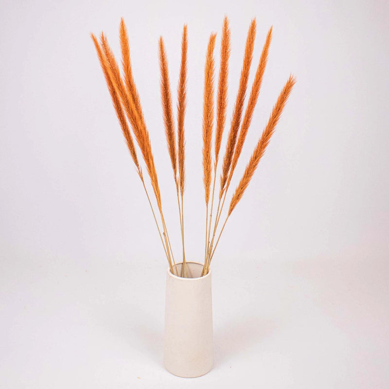 Brown Dried Pennisetum Flower Bunch in Vase