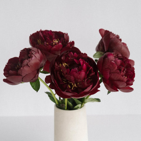 Buckeye Peonies Vase - Image