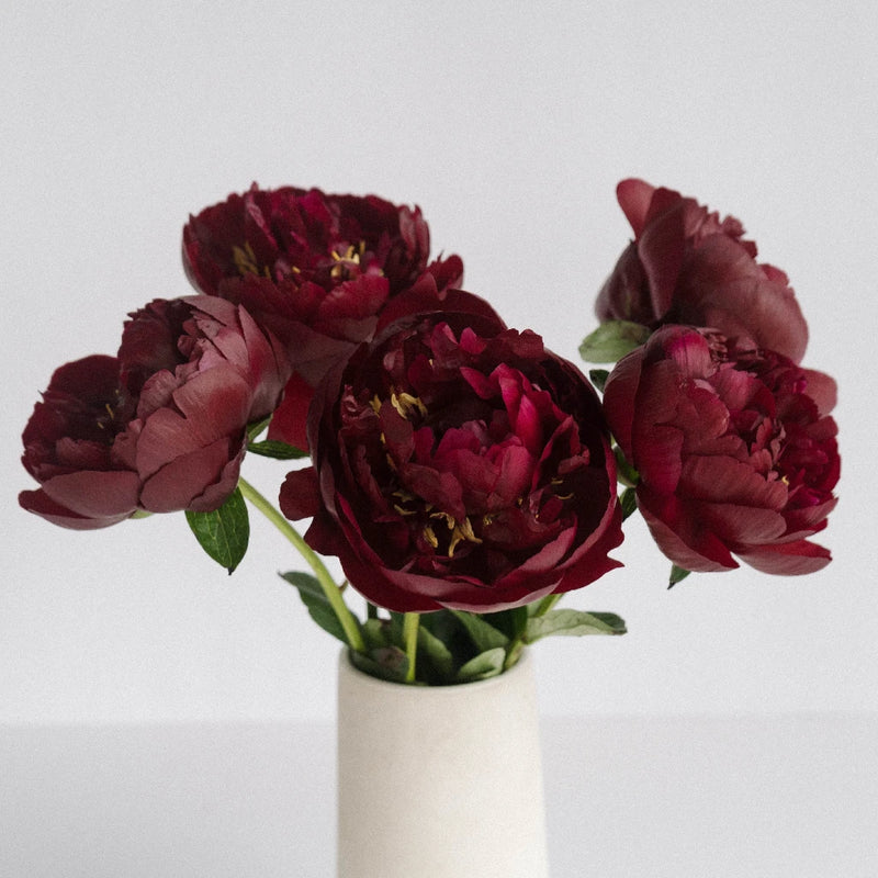 Buckeye Peonies Vase - Image