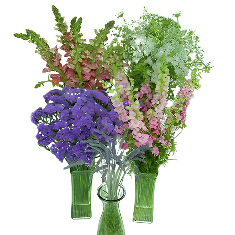 California Wildflowers DIY Flower Kit Up Close