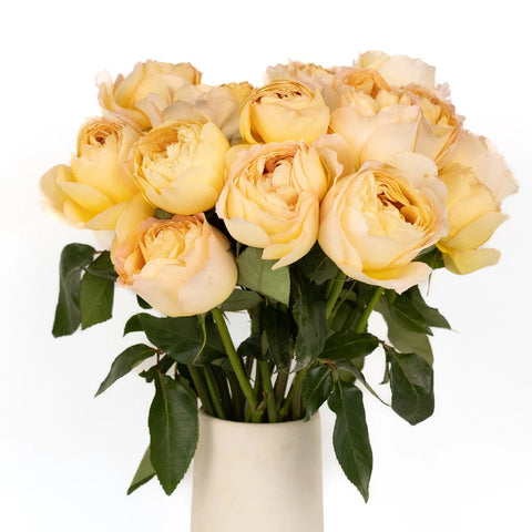 Caramel Antique Garden Rose Vase - Image
