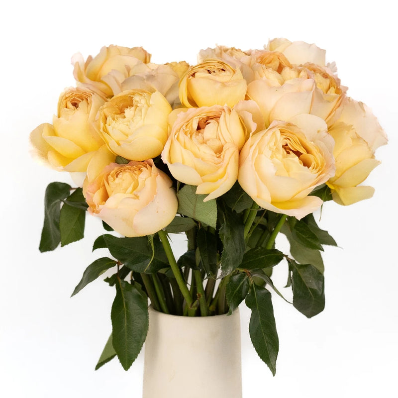 Caramel Antique Garden Rose Vase - Image