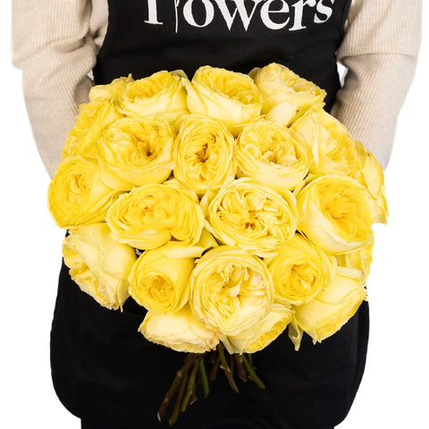 Catalina Beach Garden Rose Apron - Image