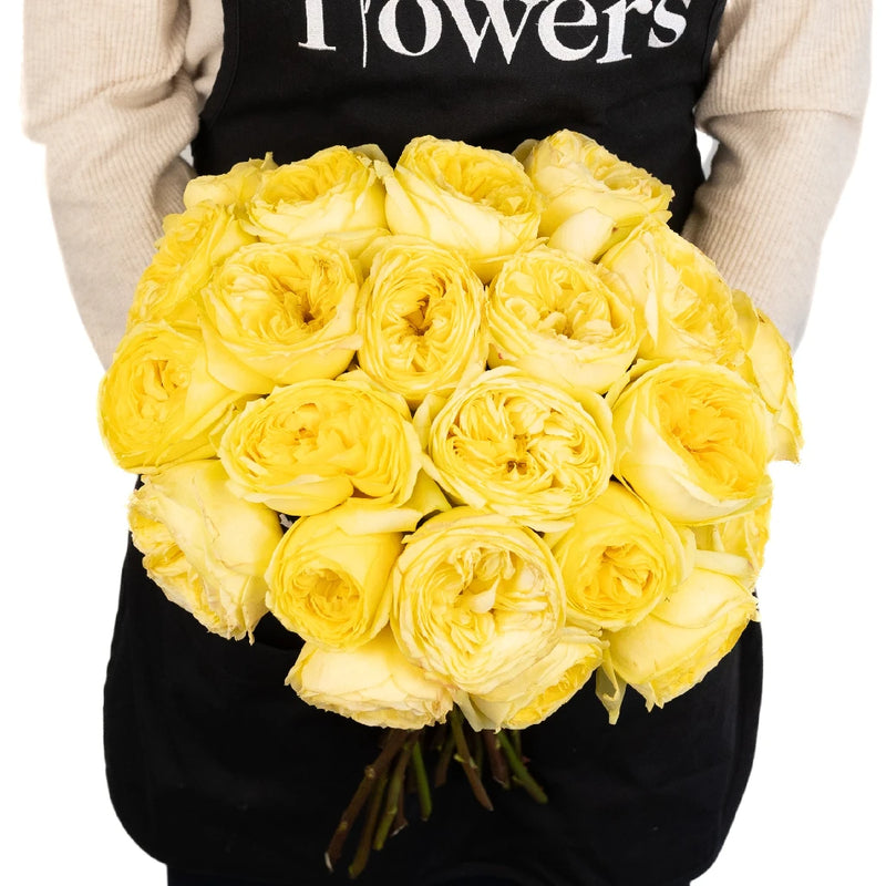 Catalina Beach Garden Rose Apron - Image