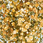 Ready To Go Wholesale Centerpieces Card