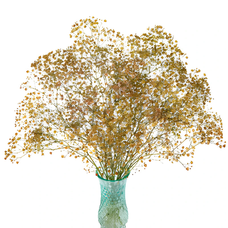 Champagne Tinted Baby's Breath Flower Stem - Image