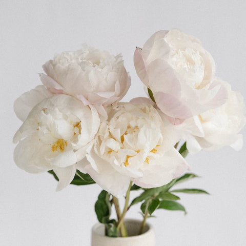 Cheddar Cheese Peony Vase - Image